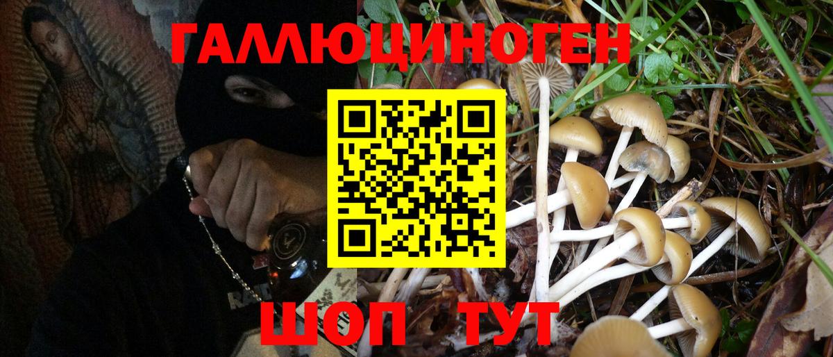 Псилоцибиновые грибы Psilocybe  Псилоцибиновые грибы Psilocybe  Вход с VPN  Семилуки 